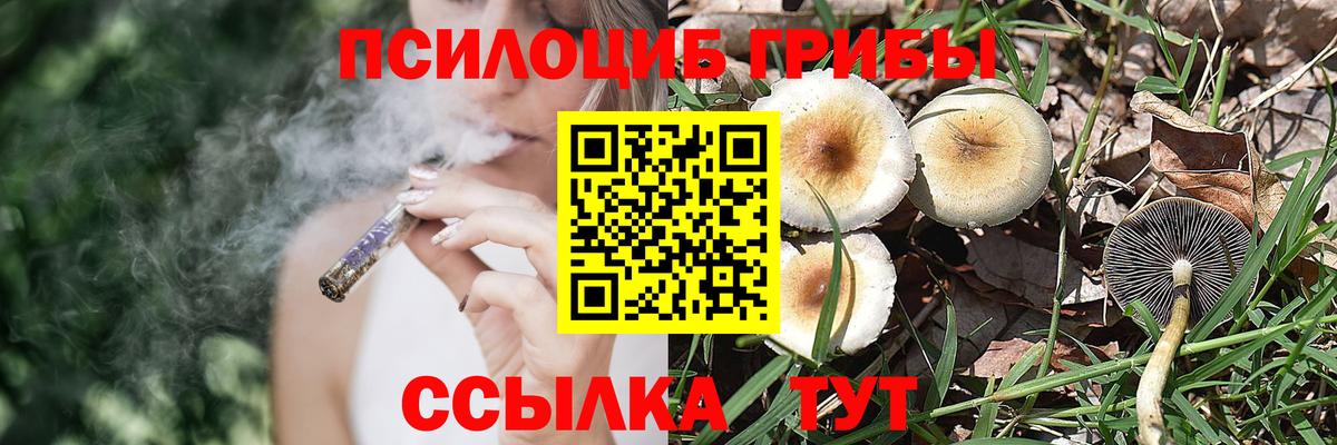 Псилоцибиновые грибы GOLDEN TEACHER Лыткарино