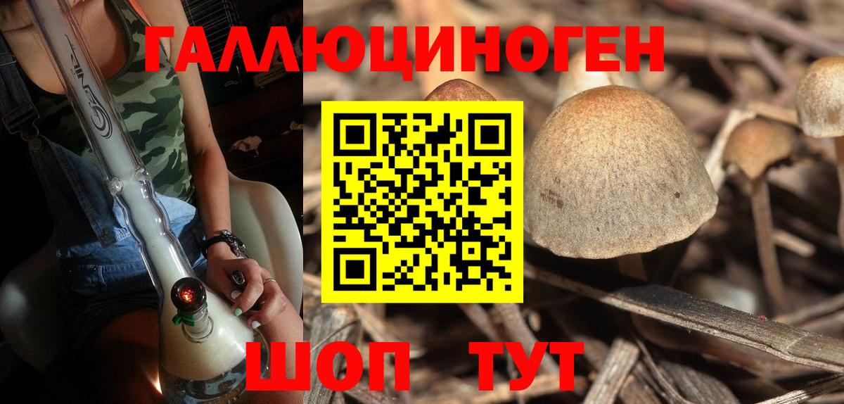 Псилоцибиновые грибы прущие грибы  Вход с VPN  Лыткарино  Галлюциногенные грибы мухоморы 